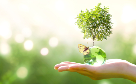 サステナビリティについて