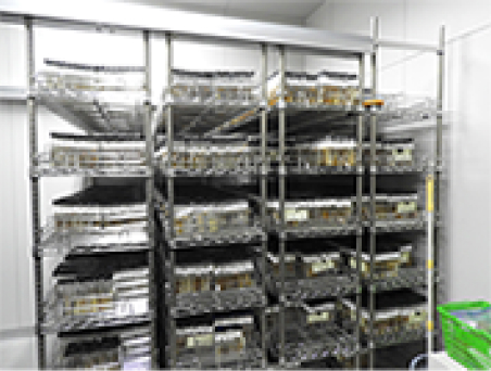 薬の基となる菌株の貯蓄庫