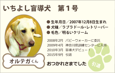 いちよし盲導犬 第1号