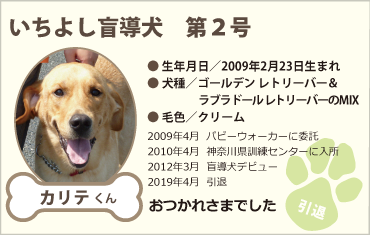 いちよし盲導犬 第2号