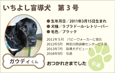 いちよし盲導犬 第3号