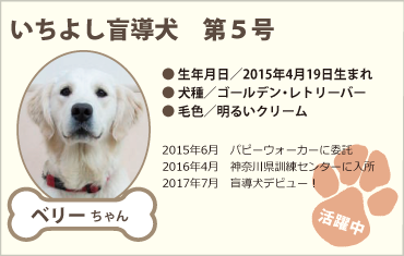 いちよし盲導犬　第5号