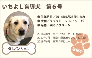 いちよし盲導犬 第6号