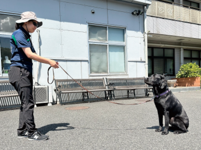 盲導犬マオリくん